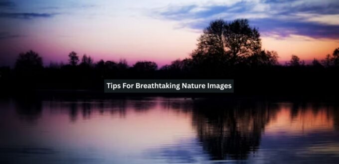 Nature Images